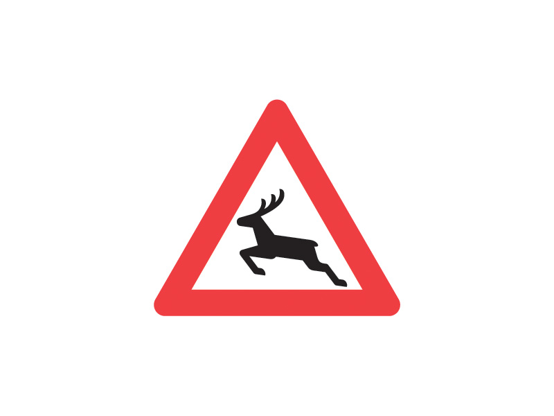 A26 - Dyrevildt. Vær særlig opmærksom på vejens omgivelser, sæt hastigheden ned. Hvis man påkører et dyr, ring til Falck, også selv om dyret løber videre.